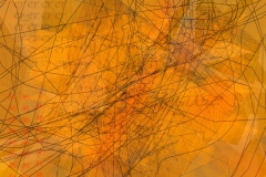 Blender-21-2-e-2-d-web
