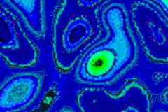 ZIMB-20160708172544-2web-1